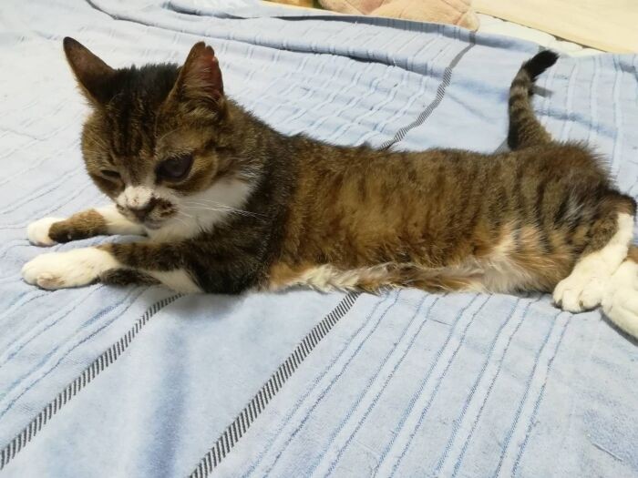 パンチをしようとするまなつに何も語ることなくそっと背を見せる大人なゴンを見て「高倉健みたい」と和香子さんは思った（和香子さん提供）