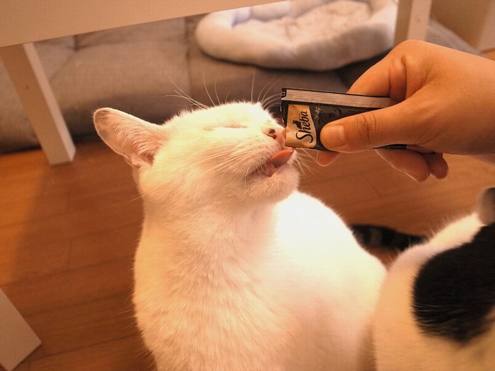 おやつタイムって最高！