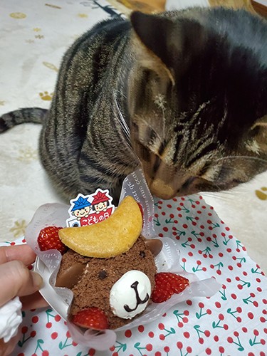 誕生日が5月なので、こどもの日のお祝いと一緒に。「僕はもうおとなだけどママにとっては子供っていうか、孫みたい。僕に甘いんだ」