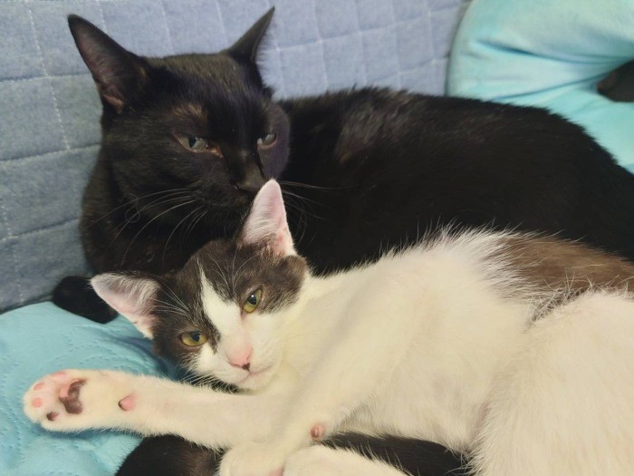 鈴は少し大きくなってからも陽にべったり（みゆきさん提供）