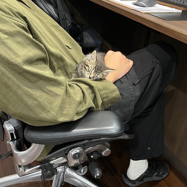 就業時間もお構いなし（提供：ねこ大家｜猫のための家づくりさん）