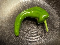 どっちだ…（騎空士鮫ミンよりも遠い場所提供）