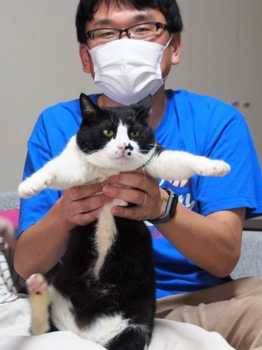 白い毛がおなかにある