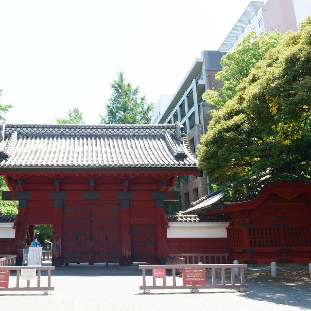 東京大学