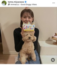 宮澤智アナのインスタグラム＠tomo.miyazawaより