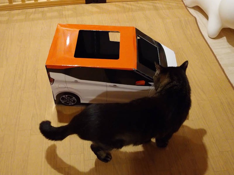 周りをクルクル…