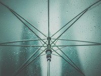 あの日の傘を忘れてから、私はビニール傘しか使えなくなった