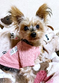 ピンクの洋服がよく似合う茉凜ちゃん（画像提供：ちゃーちゃんさん）