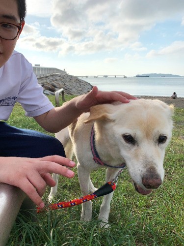 近くの海辺へ。お兄ちゃんの遼太郎くんと（直実さん提供）