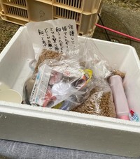 手紙のほか、猫用品なども入っていた発泡スチロールの箱（須藤さん提供、Instagramよりキャプチャ撮影）