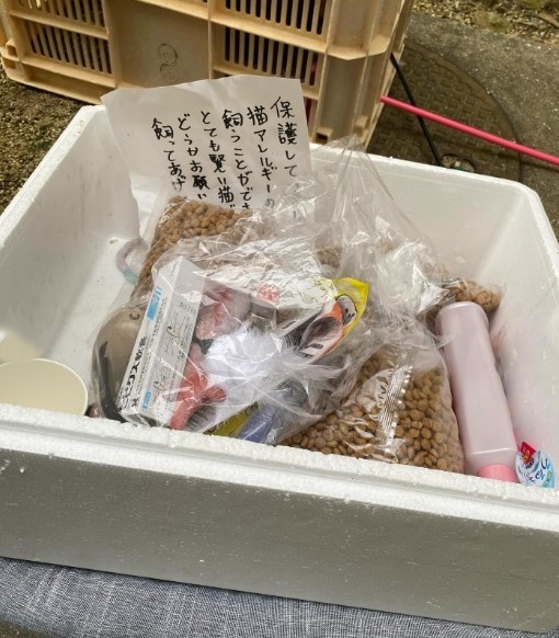 手紙のほか、猫用品なども入っていた発泡スチロールの箱（須藤さん提供、Instagramよりキャプチャ撮影）