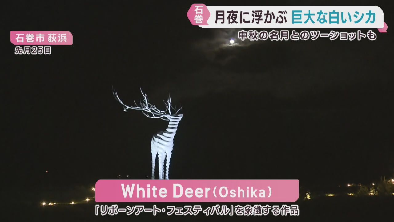 リボーン・アート・フェスティバルの象徴　シカのオブジェを夜に鑑賞　宮城・石巻市
