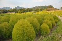 台風通過前の様子（国営讃岐まんのう公園 8月31日撮影）