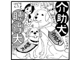 聴導犬＆介助犬って？　おしえて！しっぽ情報局vol.31