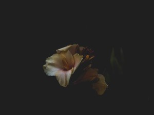 私には彼氏がいる。でも、指導係の彼と2人でカラオケに行った夜