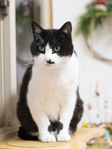 「じょうずに洗えました。きれいな顔で、おやすみなさい」（小林写函撮影）