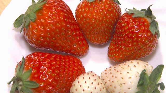 おいしいイチゴの見分け方は？おすすめの食べ方は？　栽培のプロに聞いてみた【みんなのハテナ】