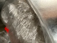 筆者がキッチンの棚で保管していた調味料に発生した害虫！何百いるかわからないほどの量が湧いてました。あらかじめ袋に入れて保管しておいてよかった、と心底思いました