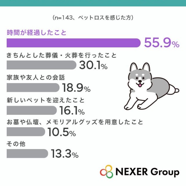 ペットロスから立ち直る、あるいは悲しみを和らげるうえで役立ったと感じることを教えてください（提供画像）