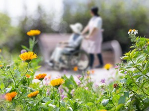 義理の親を介護した人にも相続の権利？　特別寄与料を簡単に解説