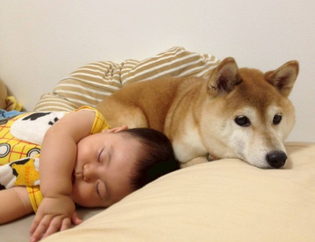 しゅんくんが赤ちゃんの頃から一緒でした（パパさん提供）