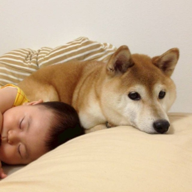 しゅんくんが赤ちゃんの頃から一緒でした（パパさん提供）