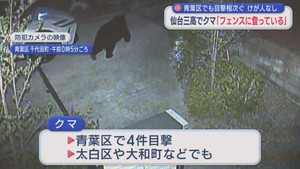 「フェンスにクマが登っている」　仙台市宮城野区・仙台三高で目撃　青葉区の住宅街では４件の目撃も