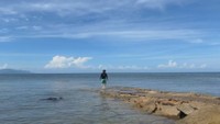 田の浦海岸　東かがわ市