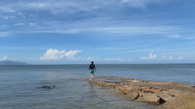 田の浦海岸　東かがわ市