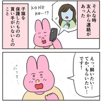 友人から子猫の貰い手探しの電話が！（なおにゃんさん提供）