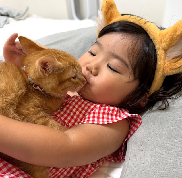 猫の耳をつけた娘さん、親子かな？（提供：いさまめfamilyさん）