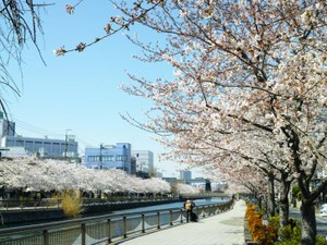 まわりを幸せにする彼女。感情をうまく出せない私は、いなくなっていた