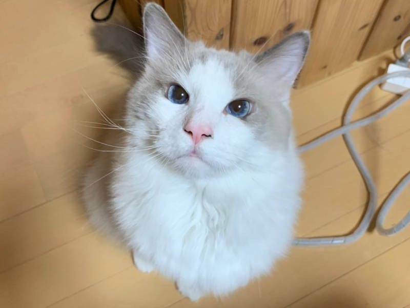 小さかった頃、あどけない表情