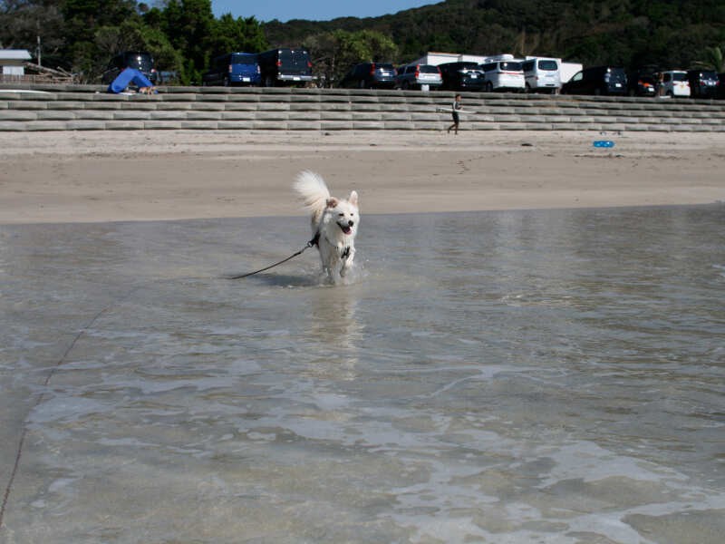 多々戸海岸にて
