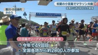 小豆島オリーブマラソン全国大会　香川・小豆島町　17日