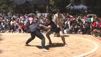 鏡野町で恒例「おんな相撲」　それぞれの思いを胸に…女性力士の熱き戦い　岡山