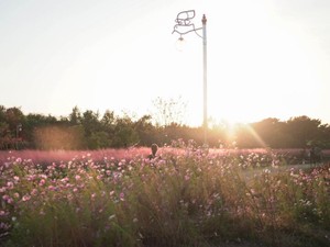 職場にこもる2ヶ月、適応障害と診断された。喜怒哀楽が消えても残っていたものは