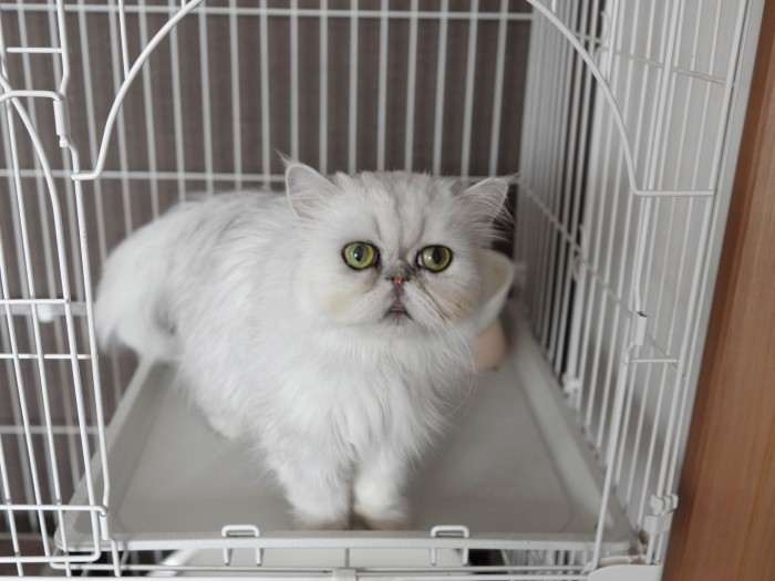 「ダンちゃん成長していくかしら」