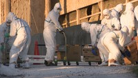 香川県で5例目の鳥インフルエンザ発生　約7万９０００羽を殺処分