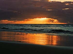 7つ年の離れた妹はワクチンが打てない。せめて彼女の命を守りたい