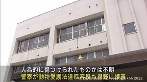 頭部が無い猫の死骸見つかる　動物愛護法違反容疑も視野に警察が調べる　宮城・大和町