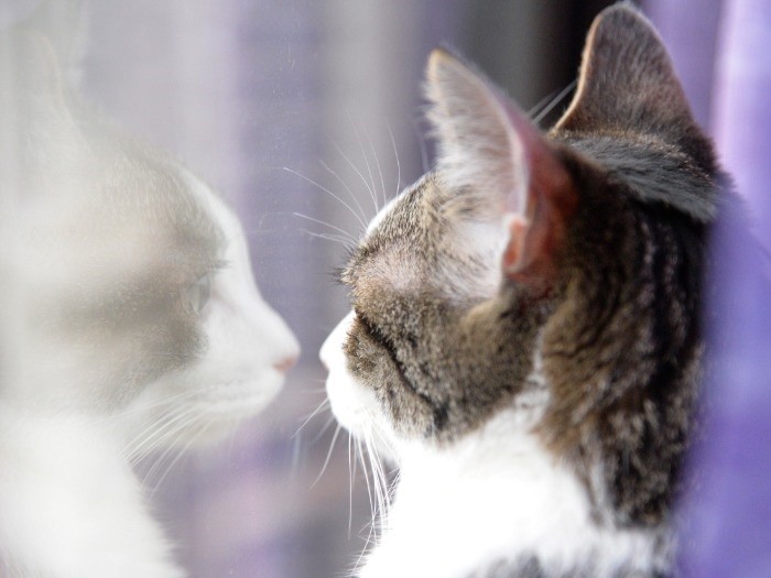 前の家も優しかったけど、先住さんと合わなかった