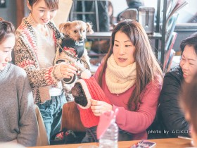 犬や猫のためのボランティア　挑戦してみた９人が感じたことは