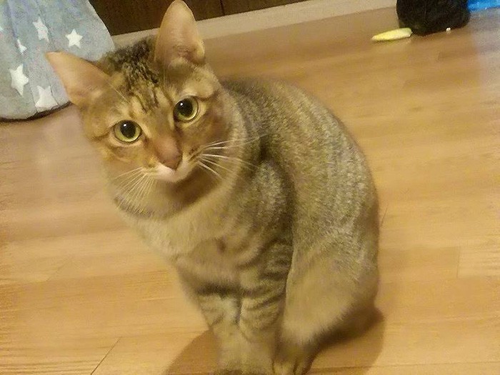 相変わらずの怖がり