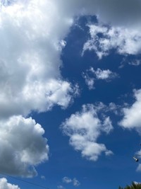 2025年9月6日、永眠したウララちゃん。翌日、「旅立ちにふさわしい空でした」と飼い主さんが報告（画像提供：リキペペさん）