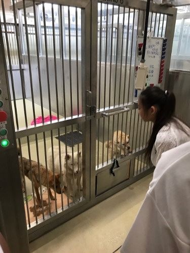 「どうしてここにいるの…？」切ない気持ちが高まる