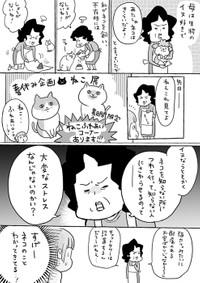 【漫画】「母は猫がきらい」（提供：松本ひで吉さん）