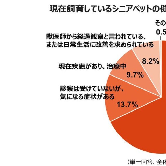 現在飼育しているシニアペットの健康状態について教えて下さい（提供画像）