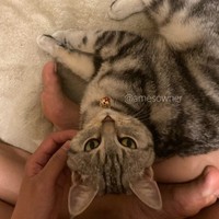 初めて甘えてくれた時