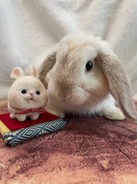 まふぃんくんに似せて作ってもらった羊毛フェルトのうさぎさんと＝まふぃん君さん（@LopMuffin）提供
